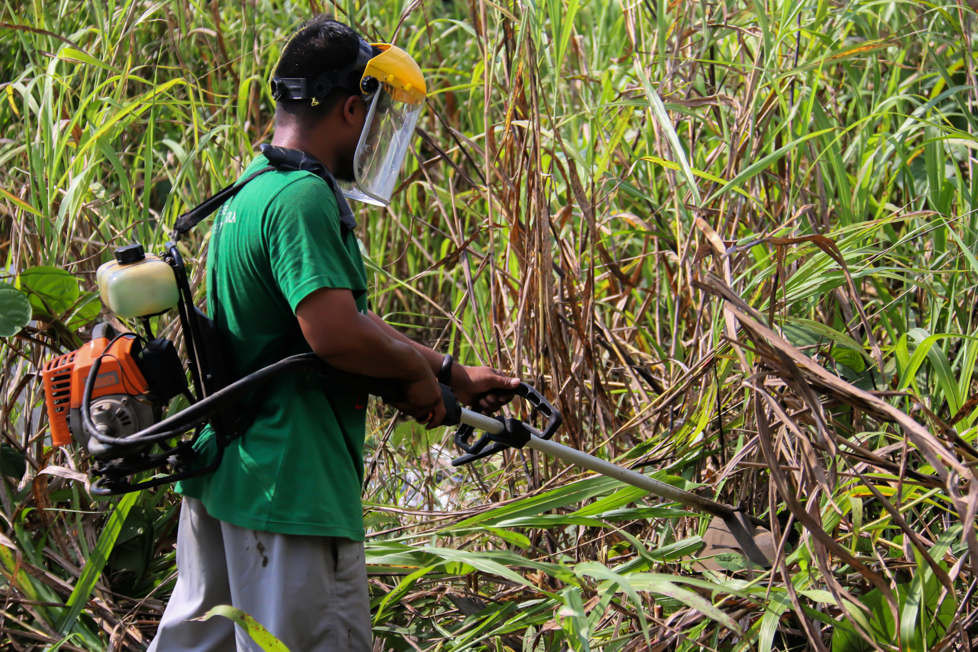 man-working-field
